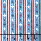 Stonehenge Stars and Stripes 10th Anniversary Collection - Star Stripe Blue Multi Yardage