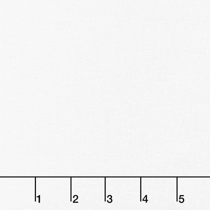 Summertime Whites - Dotted Twings White on White 108" Wide Backing Yardage