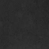 Sun Print 2022 - 10th Anniversary Collection Stitched Blackbird Yardage