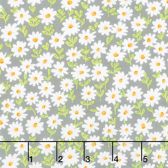 Sunny Bee - Daisies Grey Yardage
