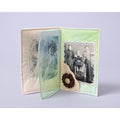 TAP Transfer Artist Paper 5 Sheet Pack by Lesley Riley