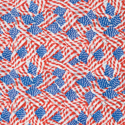 Thank You for Your Service - Flag Multi Yardage