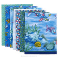 The Rainbow Fish Kit