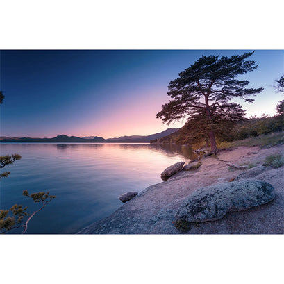 The View From Here 2 - Glass Lake Violet Digitally Printed Panel