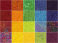 Tonga Treats Batiks - Jump 10" Squares