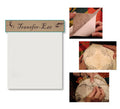 Transfer Eze 8-1/2in x 11in sheets (10ct)