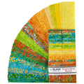 Tropicana Twist Batiks Favorites Strips Primary Image