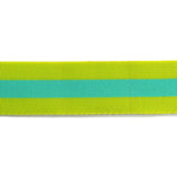 Tula Pink 1 1/2" Webbing - Classic Lime and Bright Aqua