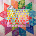 Tula Pink Nebula Block of the Month Project Bag
