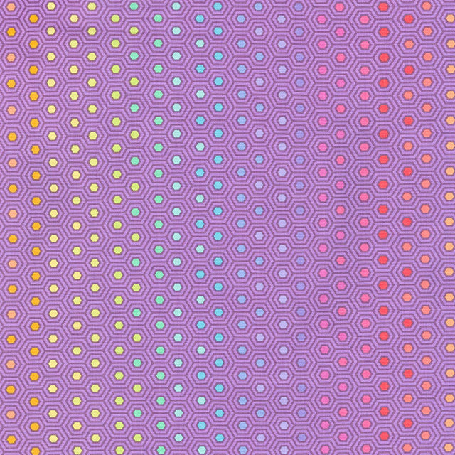 Tula Pink's True Colors - Hexy Rainbow Starling Yardage Primary Image