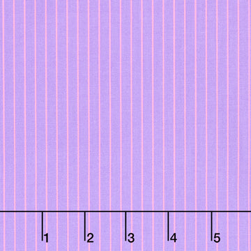 Tula Pink's True Colors - Tiny Stripes Honesty Yardage