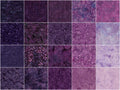 Violet Rush Batiks Stacks