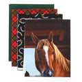 Waiting Patiently Quilt Kit Alternative View #1