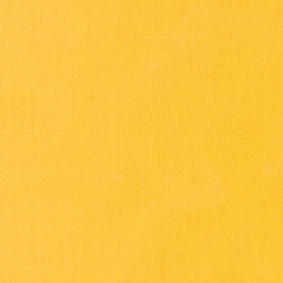 Waxer Canvas - Sunburst Yardage