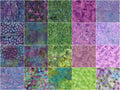 Whimsical Wings Batiks Strips Alternative View #2