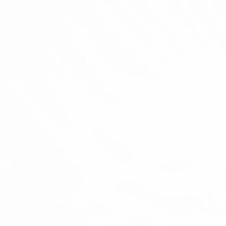 White Premier Quilting Muslin 118" Wide Backing