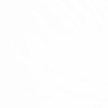 White Premier Quilting Muslin 118" Wide Backing