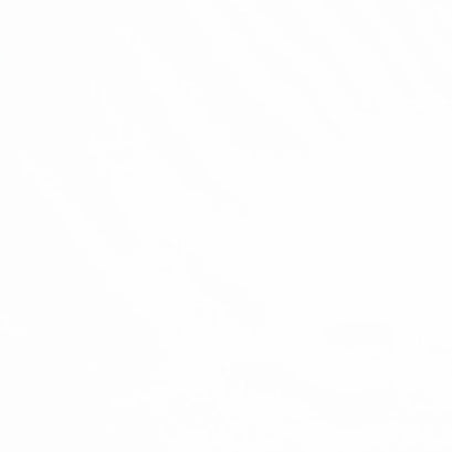 White Premier Quilting Muslin 118" Wide Backing