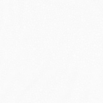 Wilmington Essentials - Glass Beads White on White Yardage