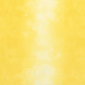 Wilmington Essentials - Ombre Washart Daisy Yardage Primary Image