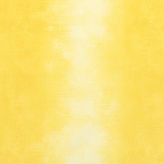 Wilmington Essentials - Ombre Washart Daisy Yardage