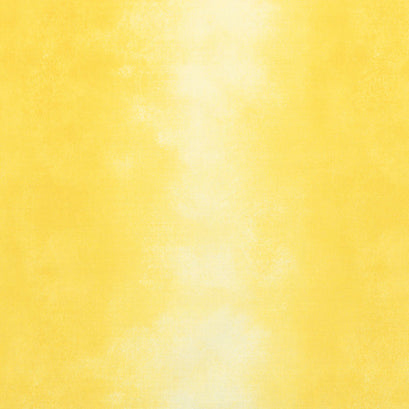 Wilmington Essentials - Ombre Washart Daisy Yardage