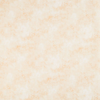 Wilmington Essentials - Venetian Texture Sandstone 108" Wide Backing