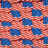 Winterfleece Prints - Flags Yardage Primary Image