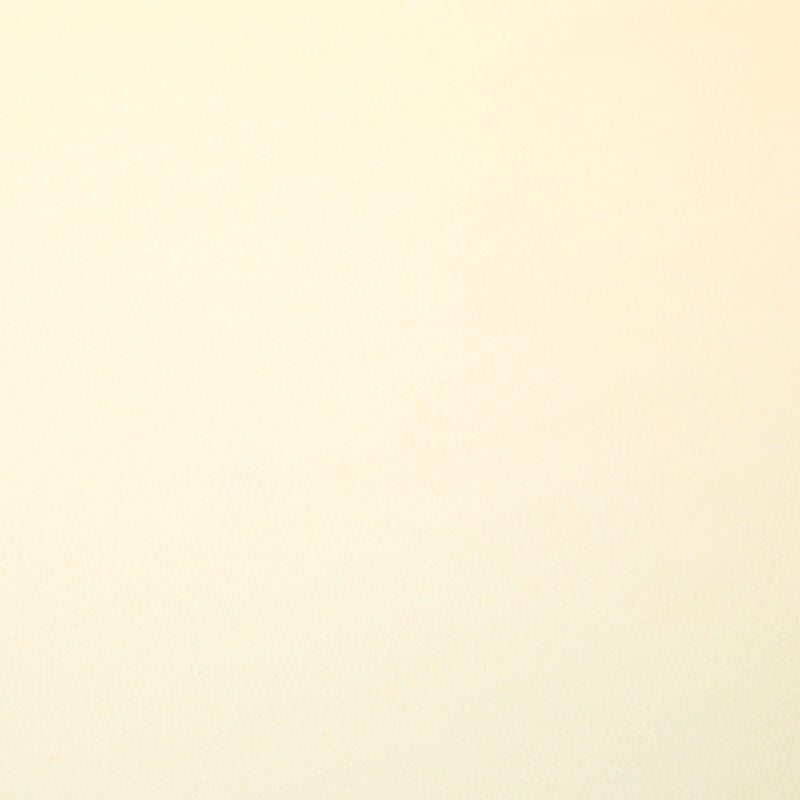 Winterfleece Solids - New Ivory Yardage